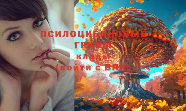 мяу мяу кристалл Бородино